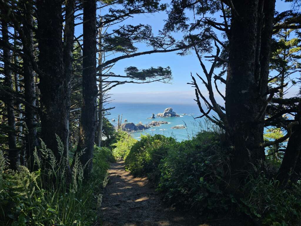 An image of a hiking trail on a blue-skied sunny day. 