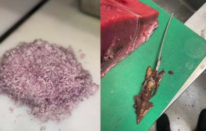 An image of meticulously diced shallots next to an image of a piece of tuna that showed up with a harpoon in it.
