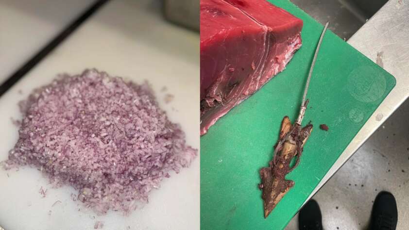 An image of meticulously diced shallots next to an image of a piece of tuna that showed up with a harpoon in it.