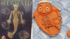 A creepy looking mermaid toy next to a creepier looking Finding Nemo floatie.
