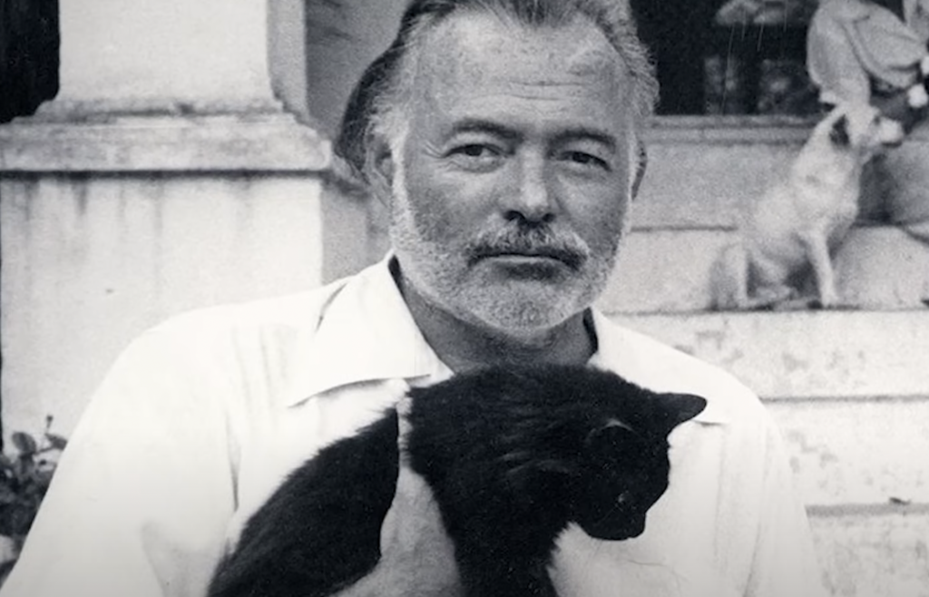 Ernest Hemingway holding a black cat. 