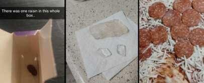 Three images are shown in a collage. The first image shows an empty box with one raisin inside, captioned "There was one raisin in this whole box." The second image displays two ice chunks on a paper towel. The third image features a pizza with melted cheese and raw pepperoni.