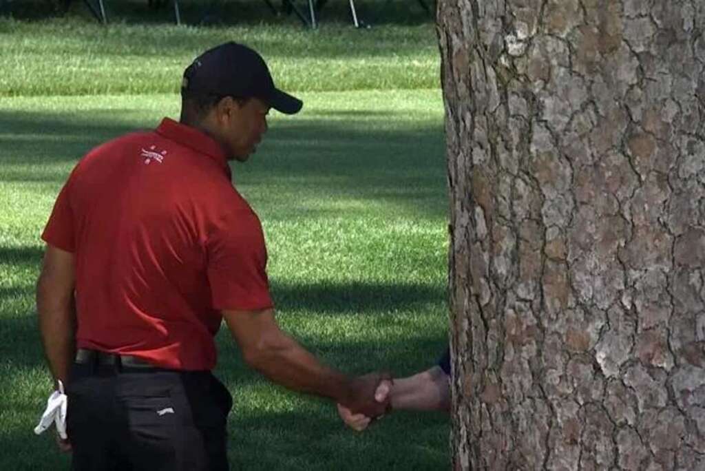 Photo of Tiger Woods shaking someones hand that's behind a tree