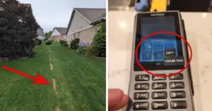 Left side: A well-maintained lawn with a single, narrow dead grass line extending down its center. An arrow points to the line. Right side: A close-up of a digital payment terminal screen displaying a tipping option, encircled in red.