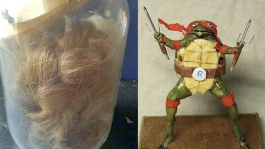 An image of a jar of hair placed next to an image of a turtle collectible.