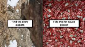 A split image with two challenges: The left side shows a rocky, snowy cliff with the text "Find the snow leopard," encouraging viewers to spot the well-camouflaged animal. The right side displays a pile of red hot sauce packets with the text "Find the hot sauce packet.
