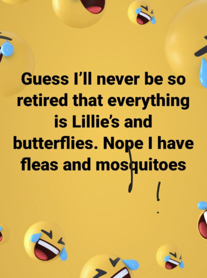 19 Pics and Memes of Boomers Being Absolute Fools - The Scroller