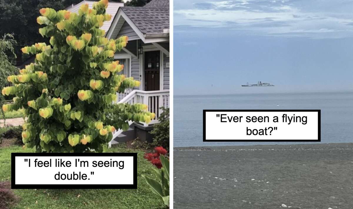 20 Optical Illusions That Will Completely Trick Your Brain