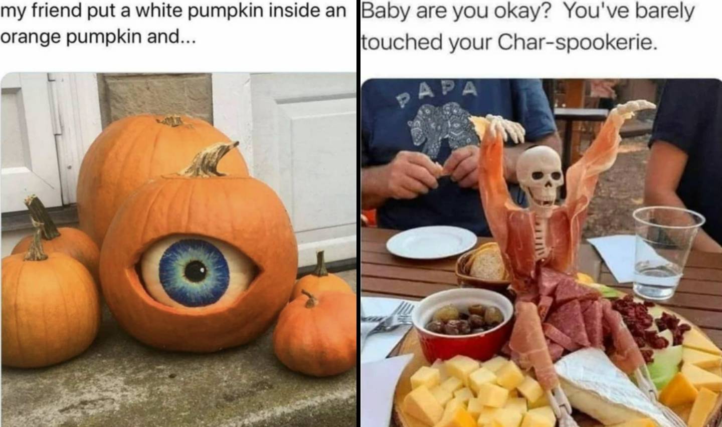 Funny Fishing Memes Family, image size:1440x852