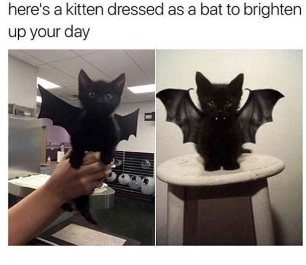 Does a Lion Concern Itself With Memes? - The New York Times, image size:1024x888