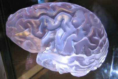 15 Psychological Mind Tricks That Actually Work