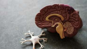15 Psychological Mind Tricks That Actually Work