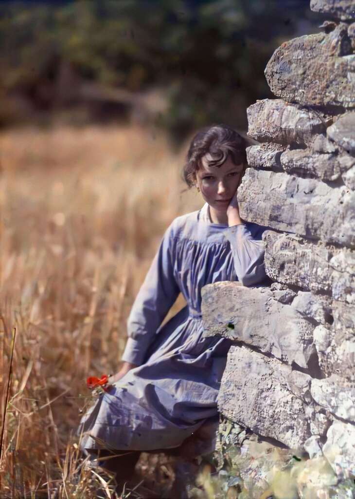 A young girl in a blue dress leans shyly against a stone wall in a field of tall grass. She gazes off to the side, holding a poppy in one hand. The background is blurred with greenery, giving a sense of countryside tranquility.
