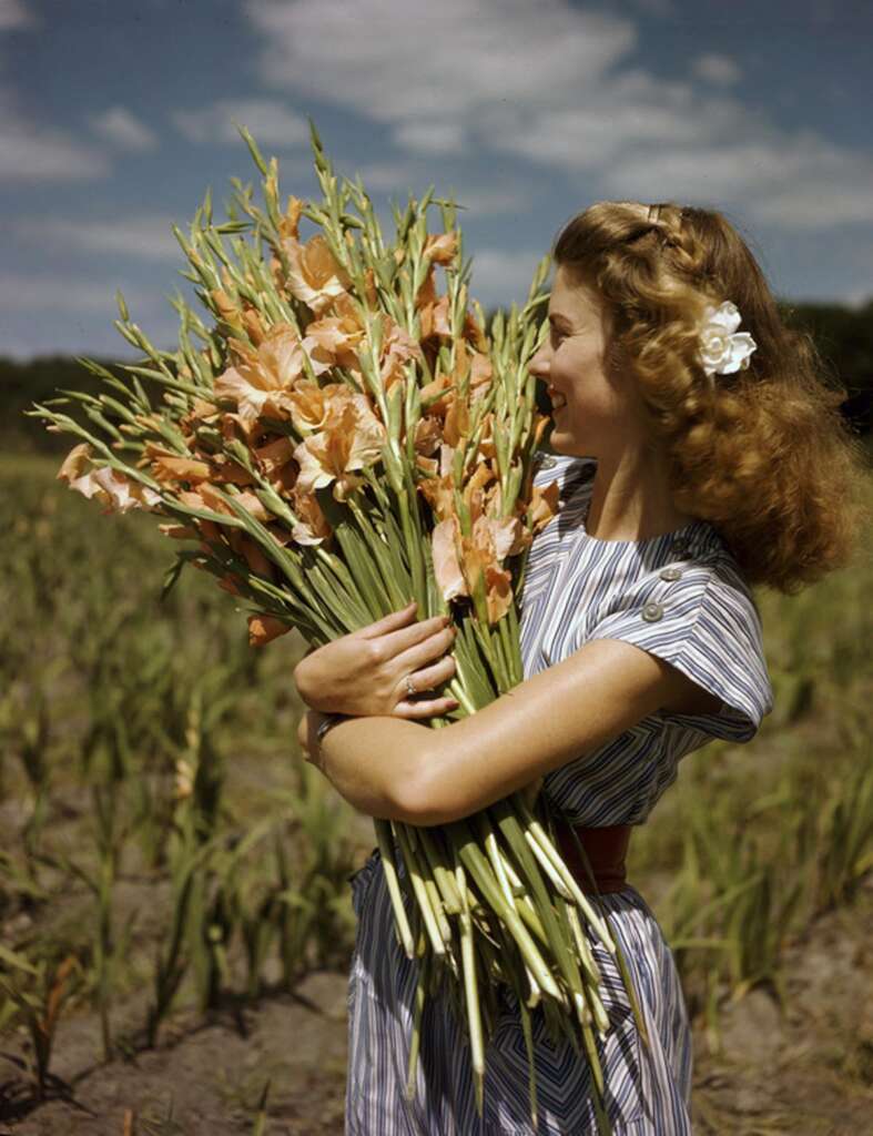 A woman in a striped dress holds a large bouquet of pink gladiolus flowers, smiling under a sunny sky. She has curly hair with a white flower accessory. She stands in a field with greenery in the background.