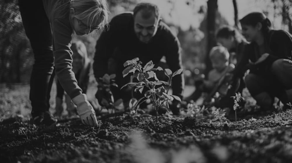 A group of people, including children and adults, are planting small plants in a garden outdoors on a sunny day. The image is in black and white.