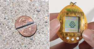 On the left, a penny is cut in half on a concrete surface. On the right, hands hold a yellow digital pet toy displaying a pixelated egg on its screen.