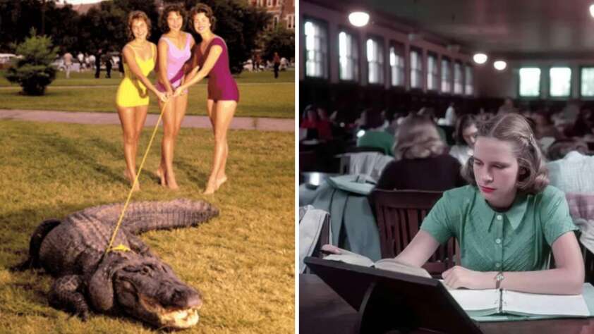 Left: Three women in colorful swimsuits pose outdoors holding a leash attached to a large alligator lying on grass. Right: A young woman in a green dress studies at a desk in a crowded library.
