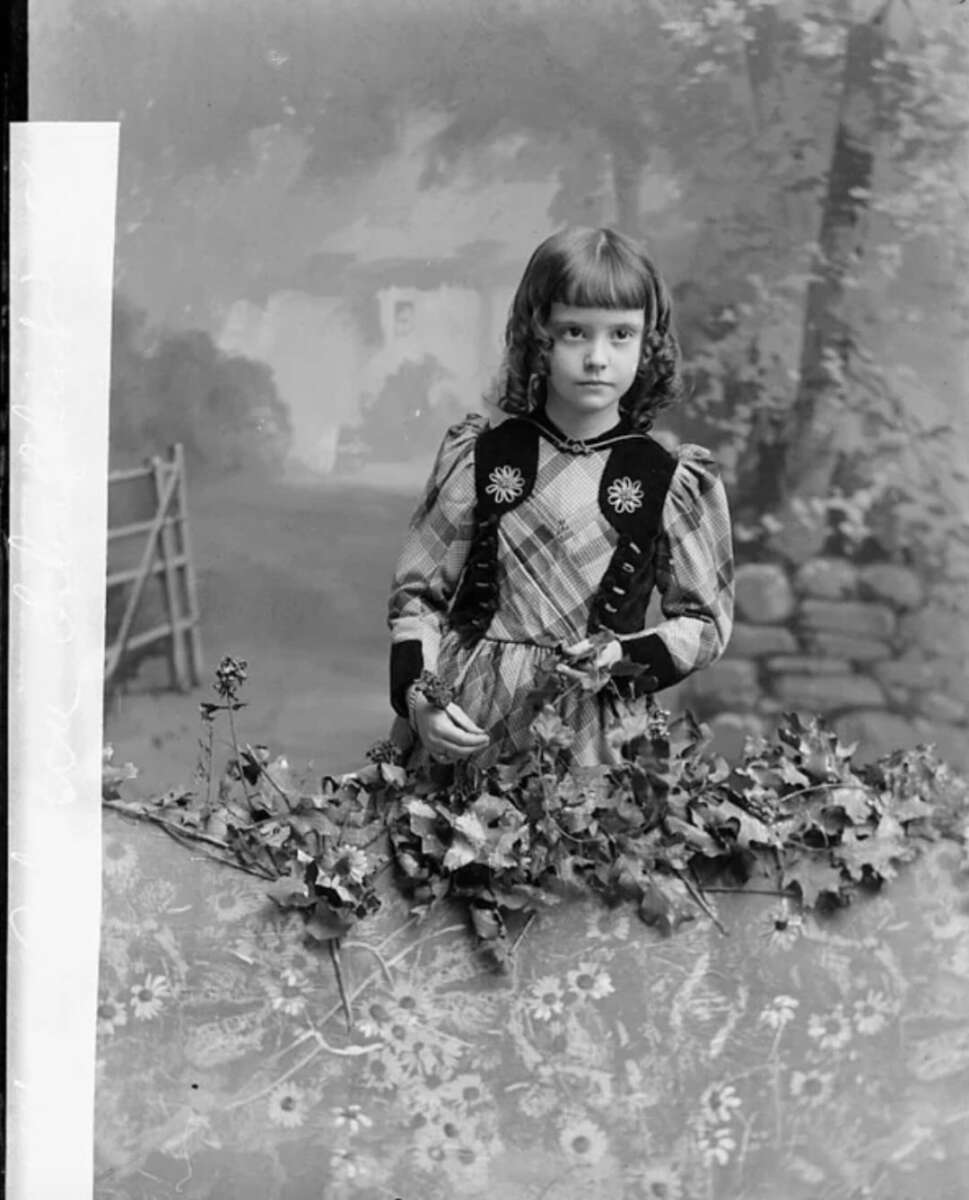 A young girl with shoulder-length hair in a patterned dress stands behind a floral-covered table, holding leaves. The background is a painted outdoor scene with a fence, foliage, and a misty house.