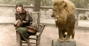 A woman in a vintage coat and hat sits in a wooden chair, looking to the side, while a lion stands alert on a large stone beside her. They are outdoors, with a wire fence in the background.