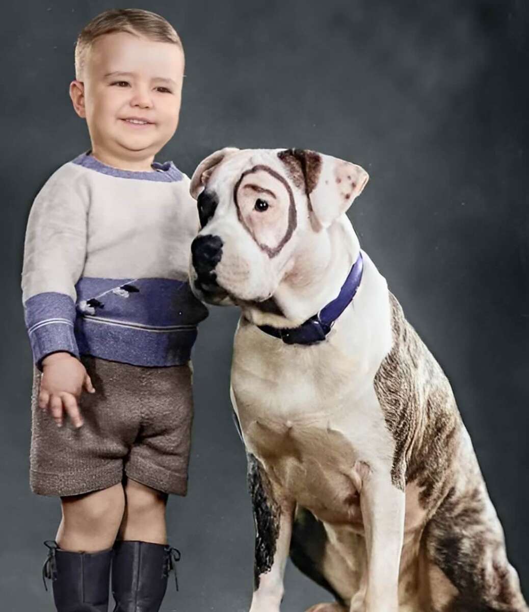 A young child in shorts and boots stands smiling next to a large dog with a dark patch around one eye. The background is plain and neutral.