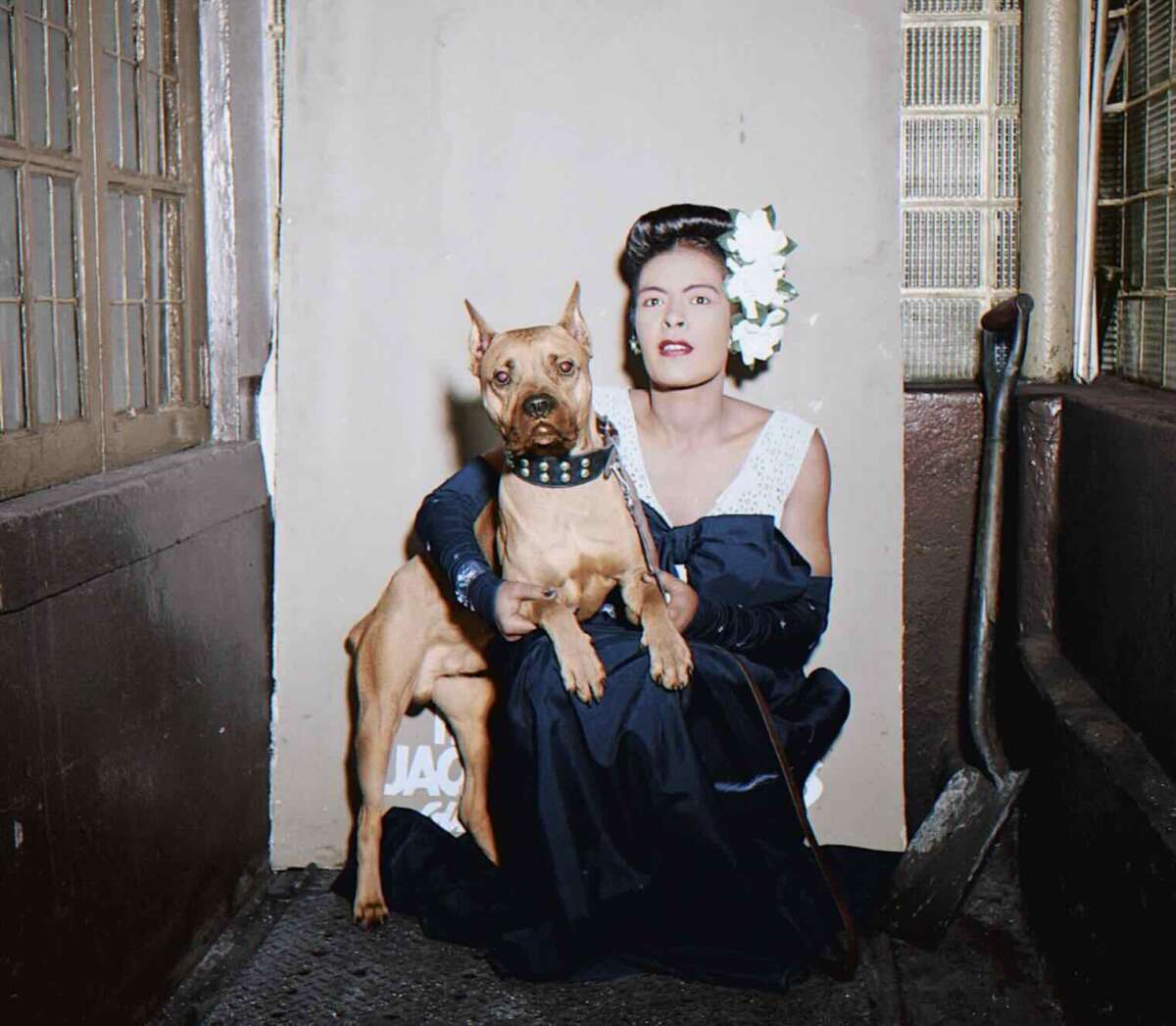 A person in a formal dark gown with white floral hair accessories sits against a wall, holding a brown dog with a studded collar on their lap. The setting appears to be an urban, dimly lit hallway or stairwell.