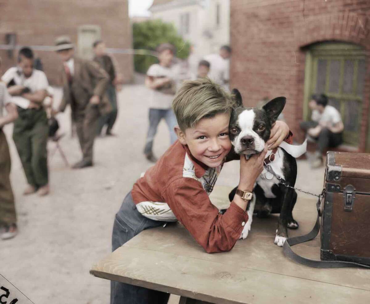 A smiling boy in a red shirt hugs a black and white dog on a table outside. Other children and adults, some holding dogs, stand and talk in the background near brick buildings.