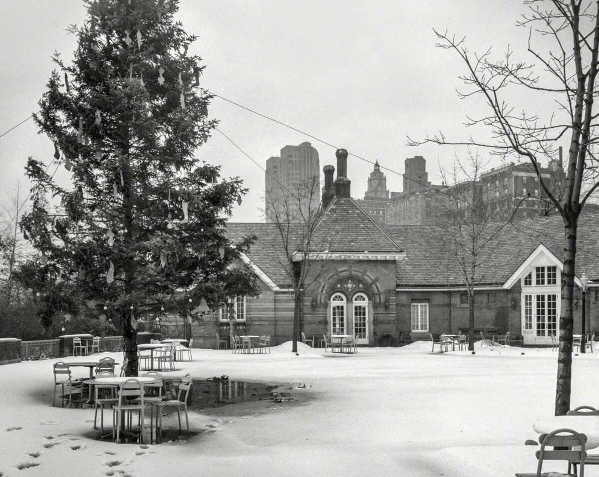 Snow-covered outdoor patio with empty tables and chairs, a decorated evergreen tree on the left, leafless trees, and a brick building in the background. Tall city buildings are visible in the misty distance.