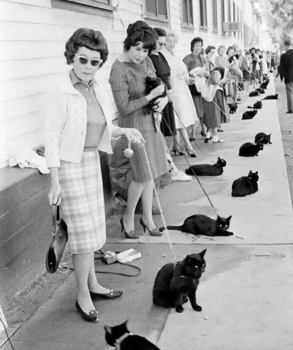 A black-and-white photo shows a long line of women standing outside a building, each holding a leash attached to a black cat, as more people and cats wait down the sidewalk.