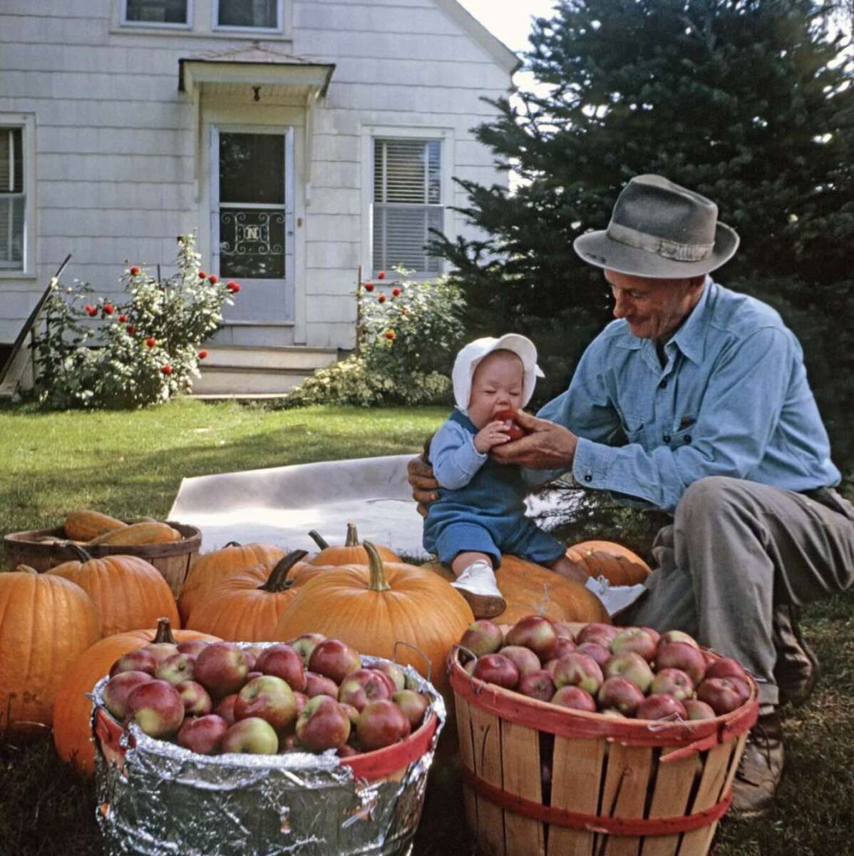 An older man in a hat sits on grass beside a crying baby surrounded by large pumpkins and baskets of red apples, in front of a white house with flowers and a pine tree in the yard.