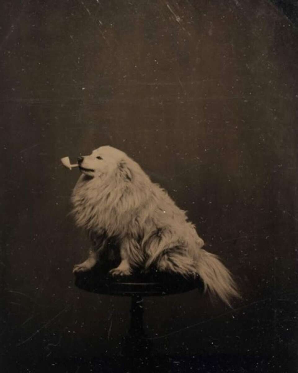 A fluffy dog sits on a round stool, holding a pipe in its mouth. The image has a vintage, sepia-toned appearance, giving it an old-fashioned, nostalgic feel.