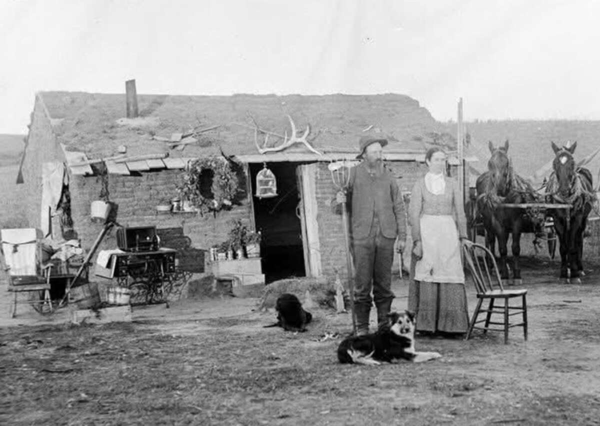 A man and woman stand outside a sod house, surrounded by household items and two dogs. Two horses are hitched to the right. The house has a grass roof and various tools and belongings are scattered around.