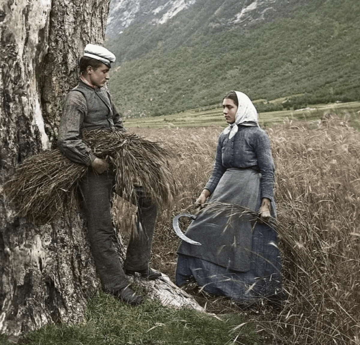 Two women in old-fashioned clothing harvest grain in a rural field; one leans against a large tree holding a sheaf of wheat, while the other stands in tall grass holding a sickle, with mountains in the background.