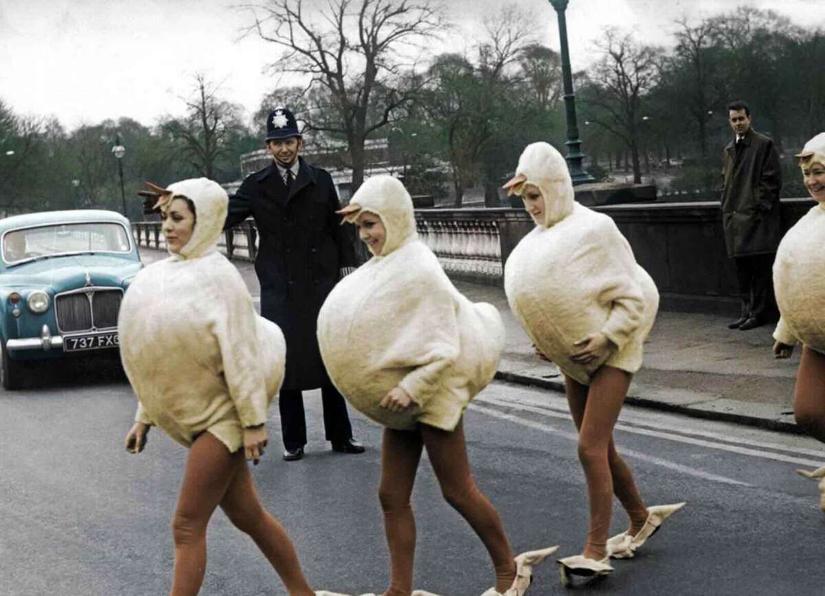 Four people dressed in fluffy swan costumes and webbed feet walk across a street, while a smiling police officer and several bystanders watch. A vintage blue car is parked nearby, and trees are visible in the background.