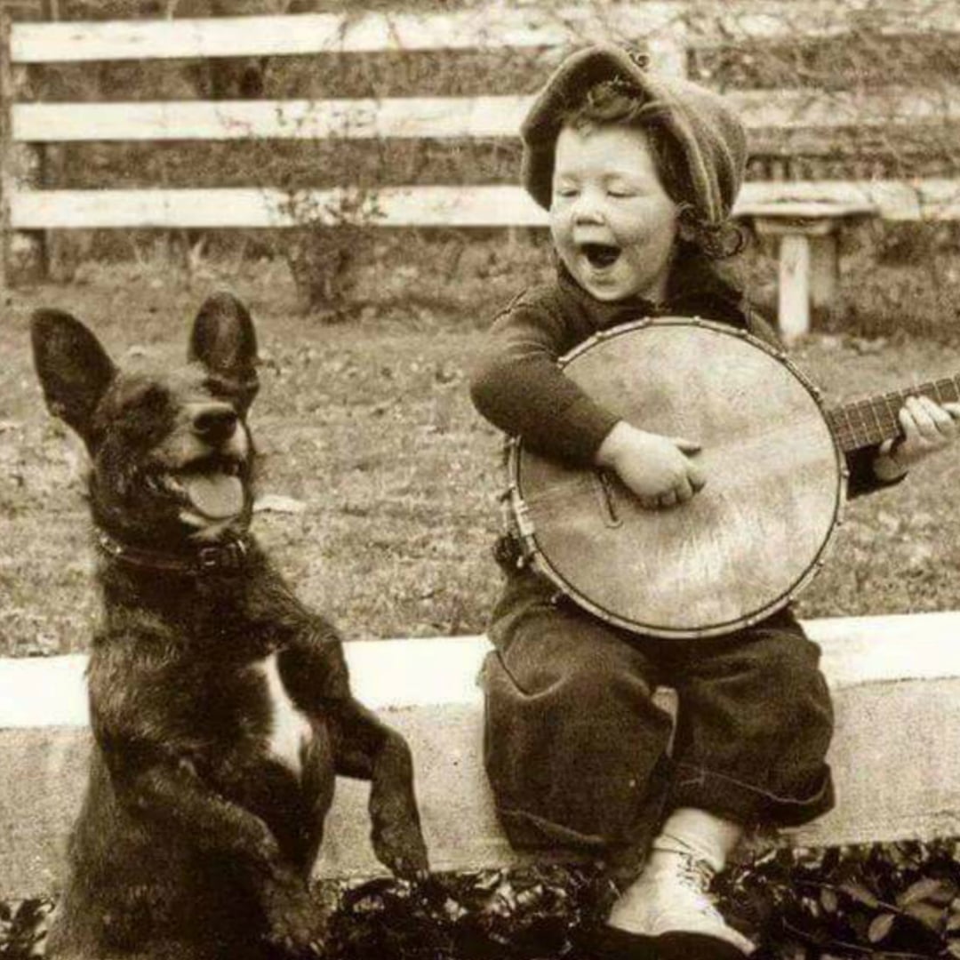 A smiling young child wearing a cap plays a banjo while sitting on a low wall next to a happy dog standing on its hind legs. Both appear joyful outdoors with a wooden fence in the background.