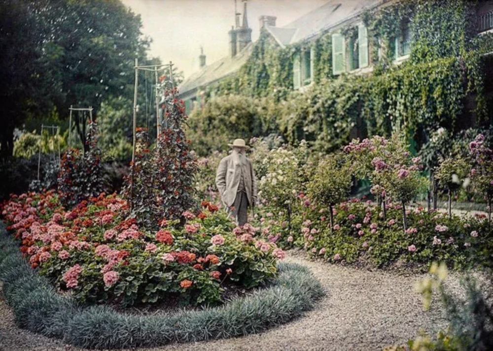 A man in a light suit and hat stands in a vibrant flower garden with blooming pink and red flowers, surrounded by greenery. Ivy covers the walls of a long house with green shutters in the background.