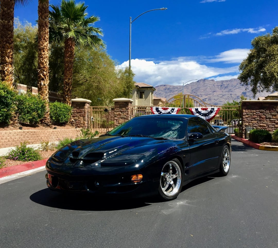 A shiny black sports car is parked on a sunlit street lined with palm trees and greenery. In the background, there are stone fences, houses, and distant mountains under a blue sky with white clouds.