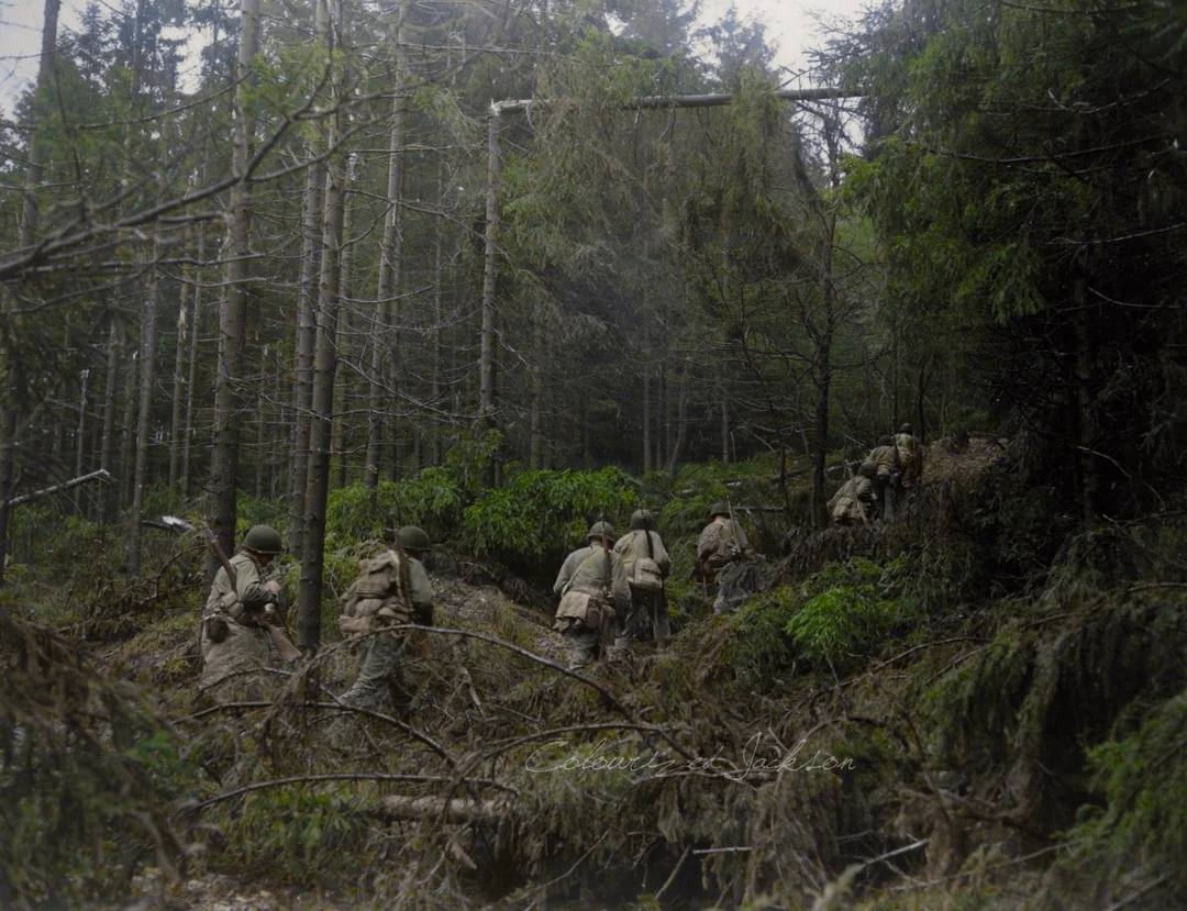A group of soldiers in World War II uniforms walk through a dense, green forest with fallen trees and thick underbrush, moving cautiously uphill among the trees.