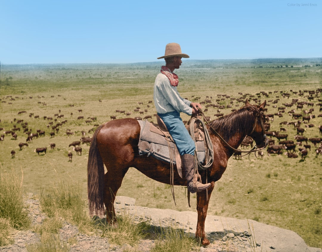 A cowboy wearing a wide-brimmed hat and bandana sits on a brown horse, overlooking a vast grassy plain filled with grazing cattle under a clear blue sky.