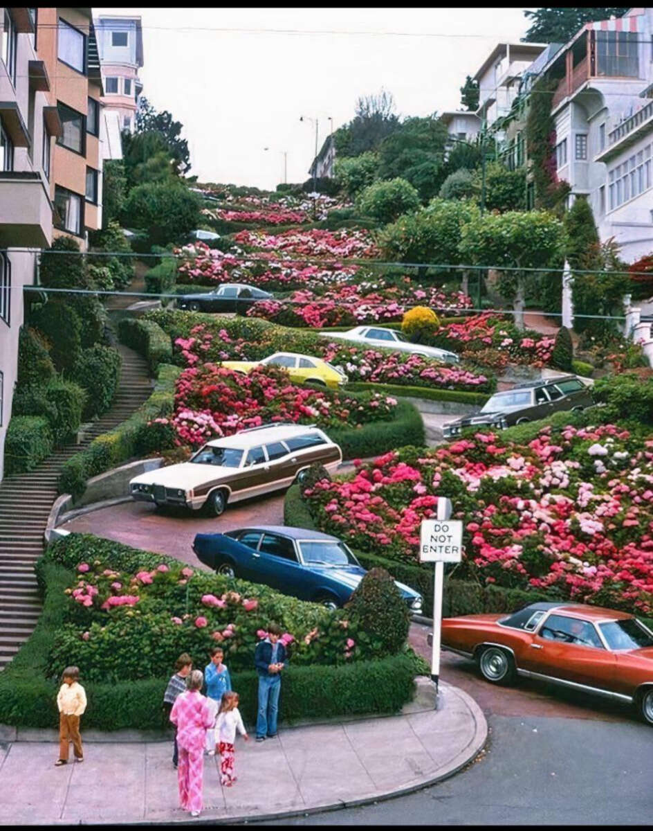 A curvy street lined with blooming pink and red flowers, bordered by green hedges, with cars driving and parked along the winding road. Several people stand and talk at the street corner below.