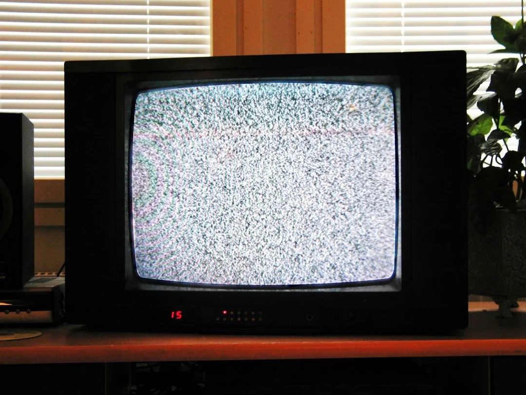 A black television on a wooden table displays static noise, commonly known as "snow," with horizontal blinds and a green potted plant in the background.
