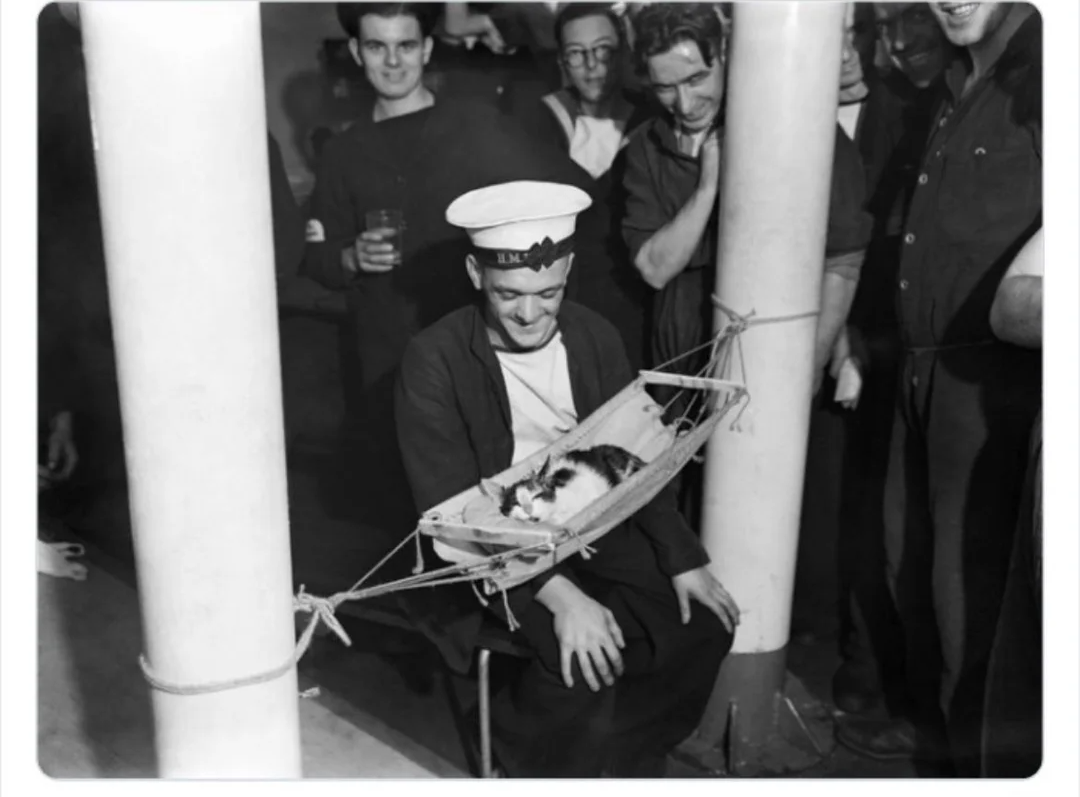 A sailor sits smiling between two columns while a cat lounges in a small hammock in front of him; several men stand around them, watching and smiling.