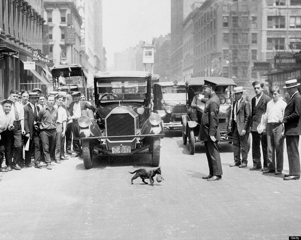 A black cat crosses a busy city street in front of vintage cars as a police officer halts traffic. Crowds of men watch from both sides of the street in this black-and-white, early 20th-century photo.