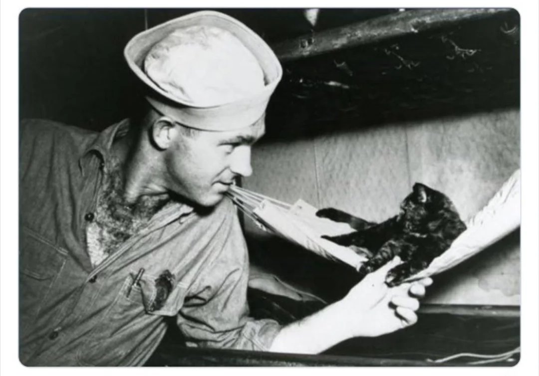 A sailor in uniform and cap gently interacts with a cat lying in a small hammock. The scene is set in what appears to be a ship’s quarters. The photo is black and white.