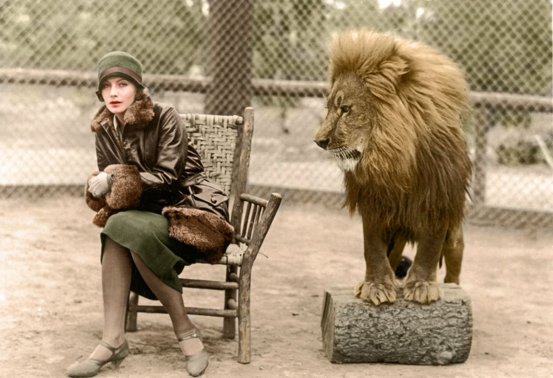 A woman in vintage clothing sits on a wooden chair, looking to the side, while a lion stands on a log next to her inside an outdoor enclosure with a wire fence in the background.