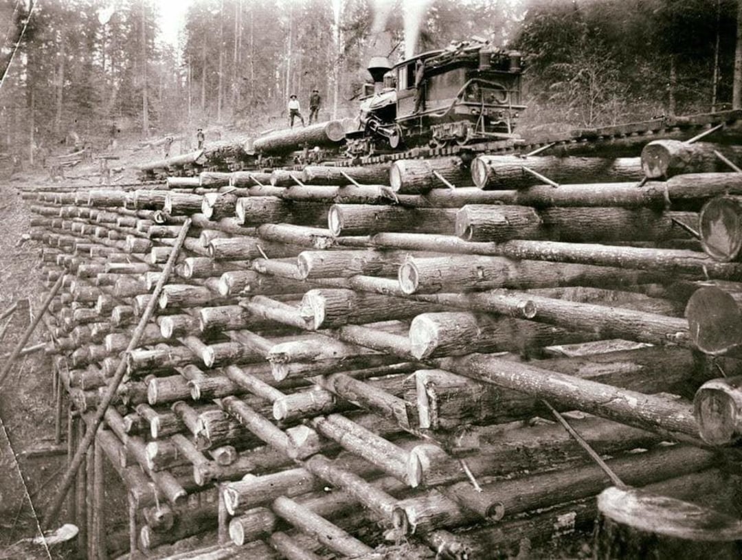 A vintage photo shows a steam locomotive crossing a wooden trestle bridge made of stacked logs, with workers standing on top; dense forest is visible in the background.
