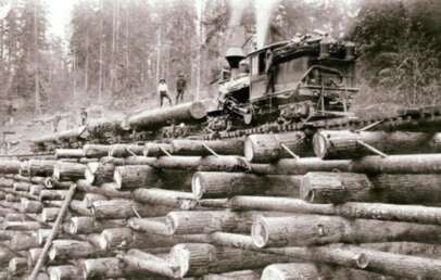 A steam locomotive travels on tracks built atop a large stacked log trestle in a forest area, with workers standing on the logs and scattered timber in the background.