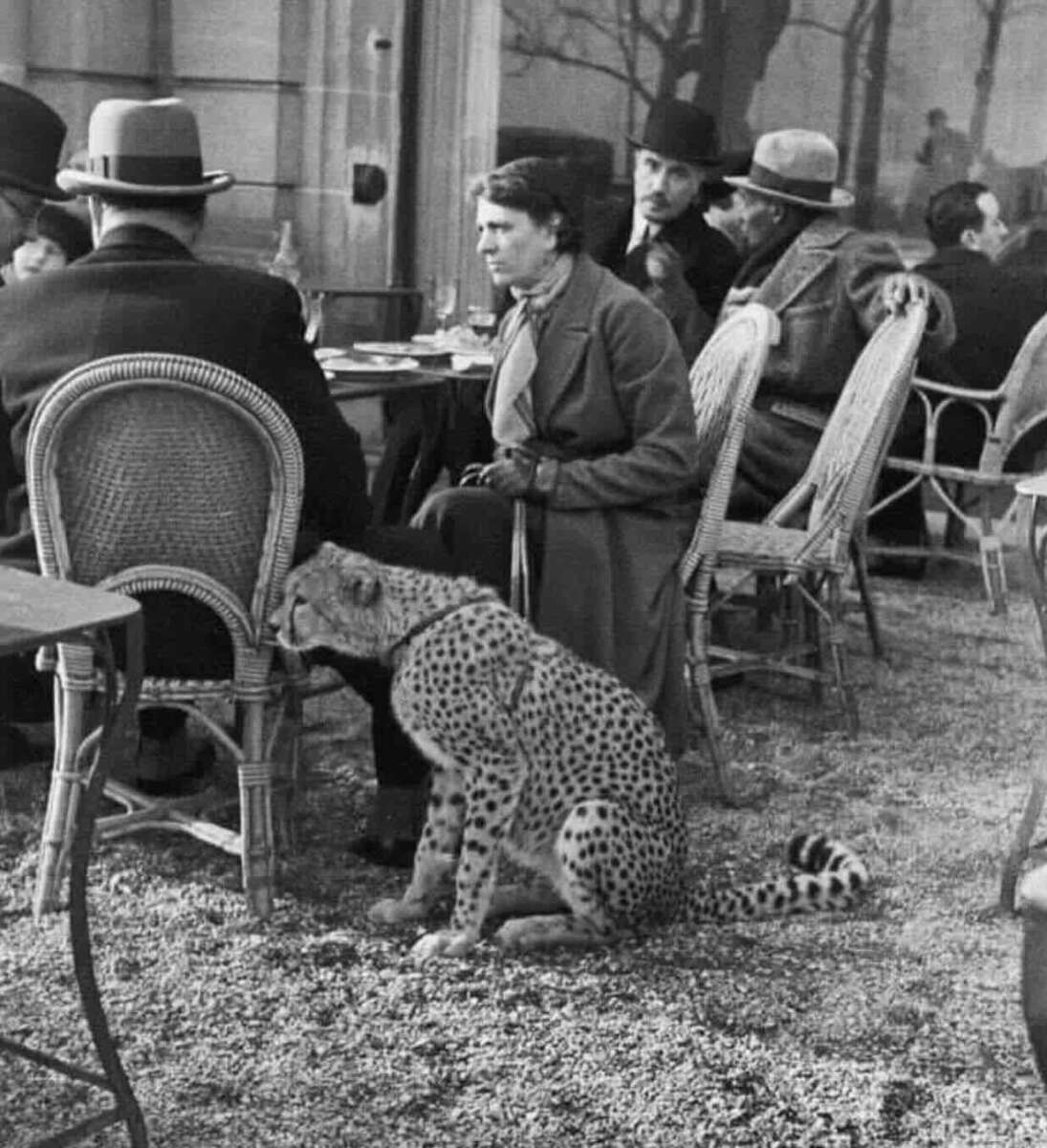 A woman sits at an outdoor café table among other people, with a cheetah sitting calmly beside her on the gravel ground. The scene appears to be from an earlier era, with everyone dressed in vintage attire.