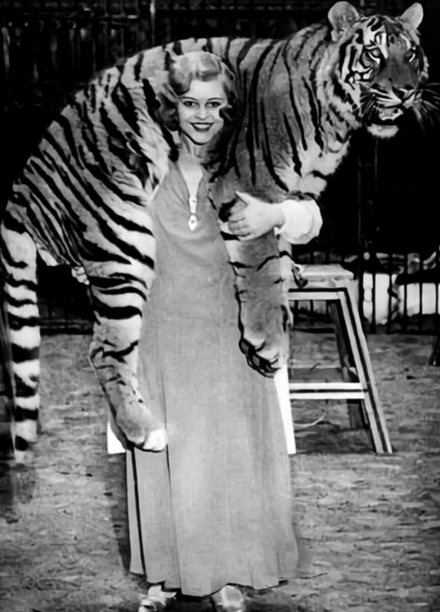 A woman in a long dress smiles while carrying a large tiger draped over her shoulders, standing in what appears to be a circus or animal enclosure.