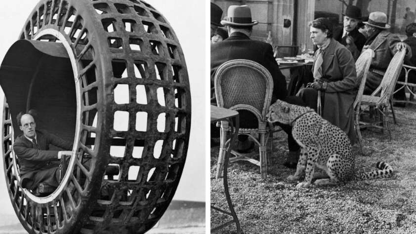 On the left, a man sits inside a large, circular, cage-like vehicle. On the right, a woman at an outdoor café has a cheetah on a leash beside her, surrounded by people seated at tables.