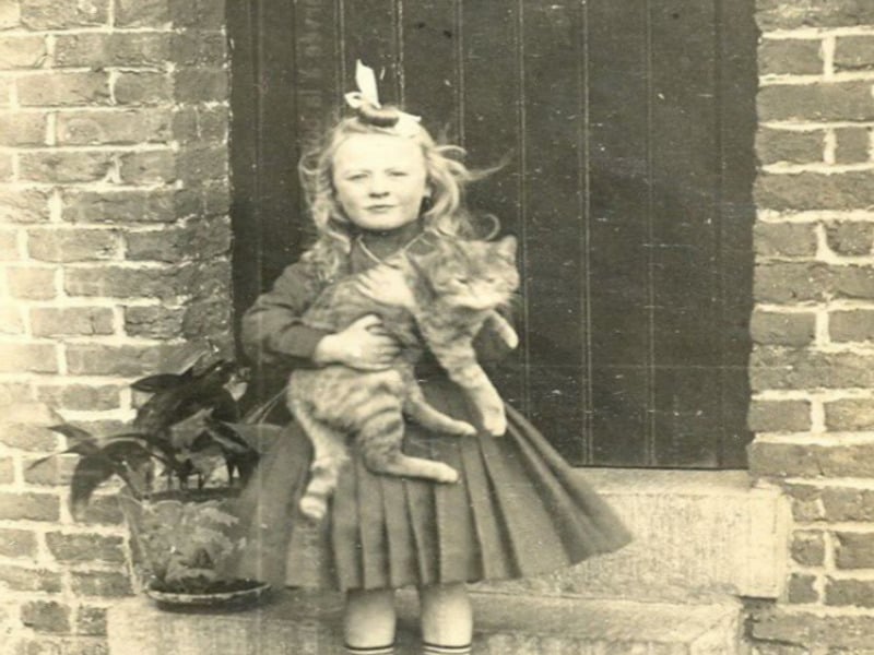 A vintage black-and-white photo of a young girl in a dress standing on stone steps, holding a tabby cat. She has a bow in her hair. A potted plant sits next to her, and a brick wall is in the background.
